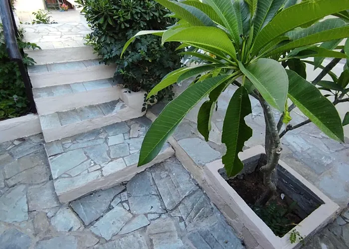 Dedalos N3 Sea View Apartment-30 Metres From The Beach